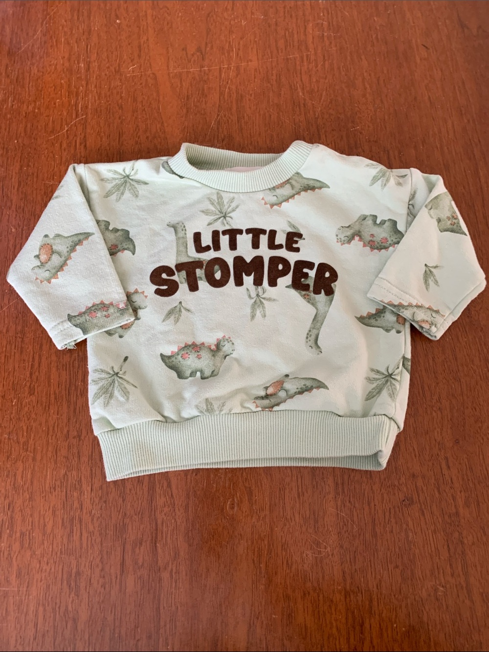 🍊5/$25 Little Stomper Sage Green Dino Pullover Sweatshirt for Kids